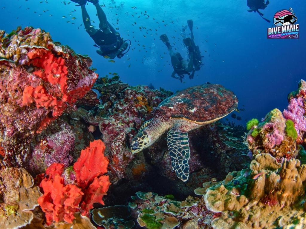 Khaolak Dive Resort 蔻立 外观 照片