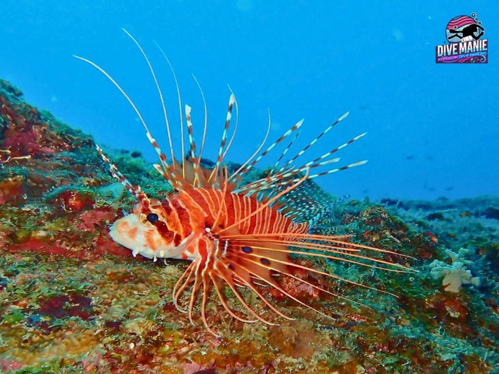 Khaolak Dive Resort 蔻立 外观 照片
