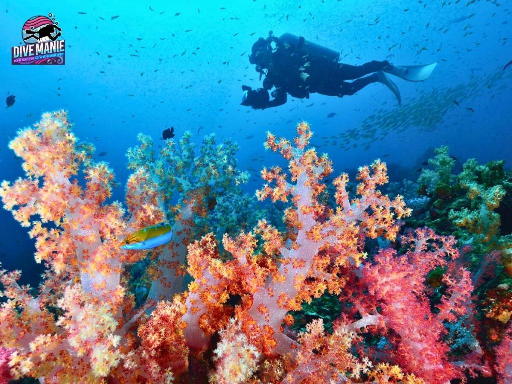 Khaolak Dive Resort 蔻立 外观 照片