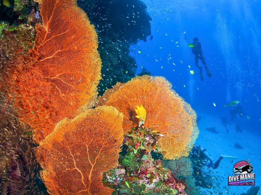 Khaolak Dive Resort 蔻立 外观 照片