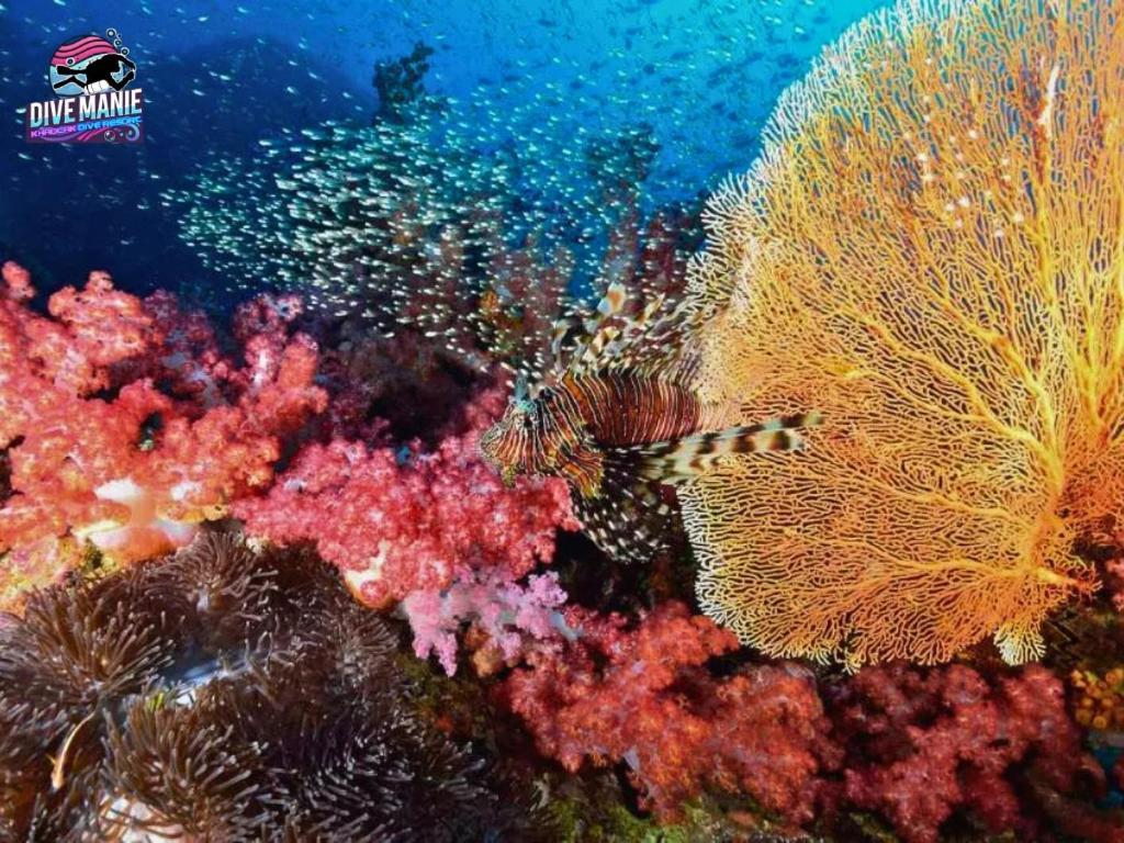 Khaolak Dive Resort 蔻立 外观 照片